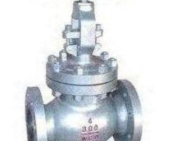 GLOBE VALVES SUPPLIERS IN KOLKATA - 1