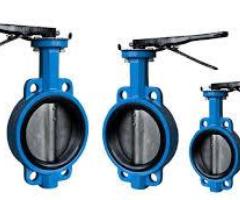 BUTTERFLY VALVES IN KOLKATA - 1