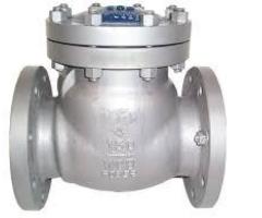 CHECK VALVES IN KOLKATA - 1