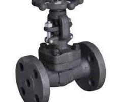 STEAM VALVES SUPPLIERS IN KOLKATA - 1